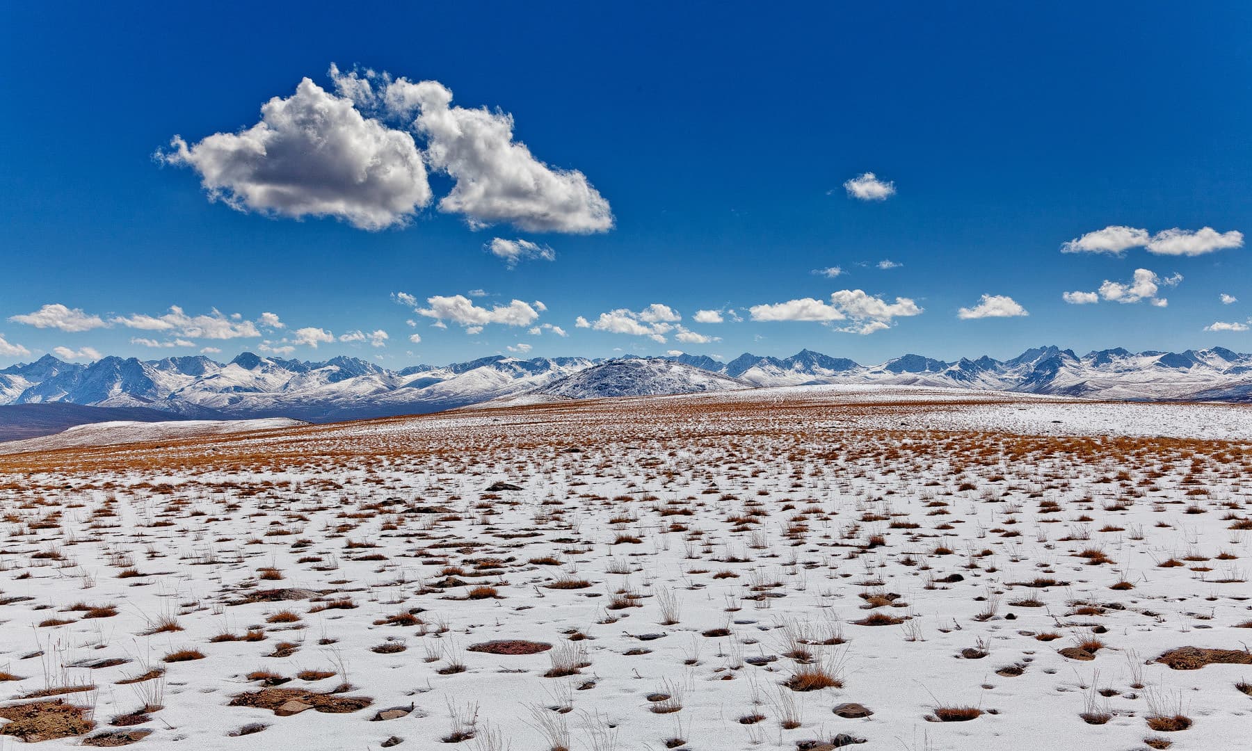 Deosai Plains